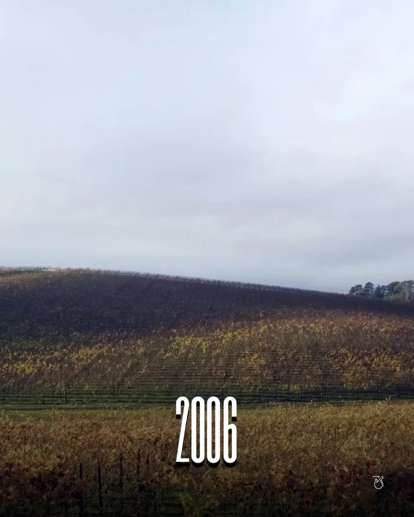 Əfsanəvi “Windows XP” divar kağızı
