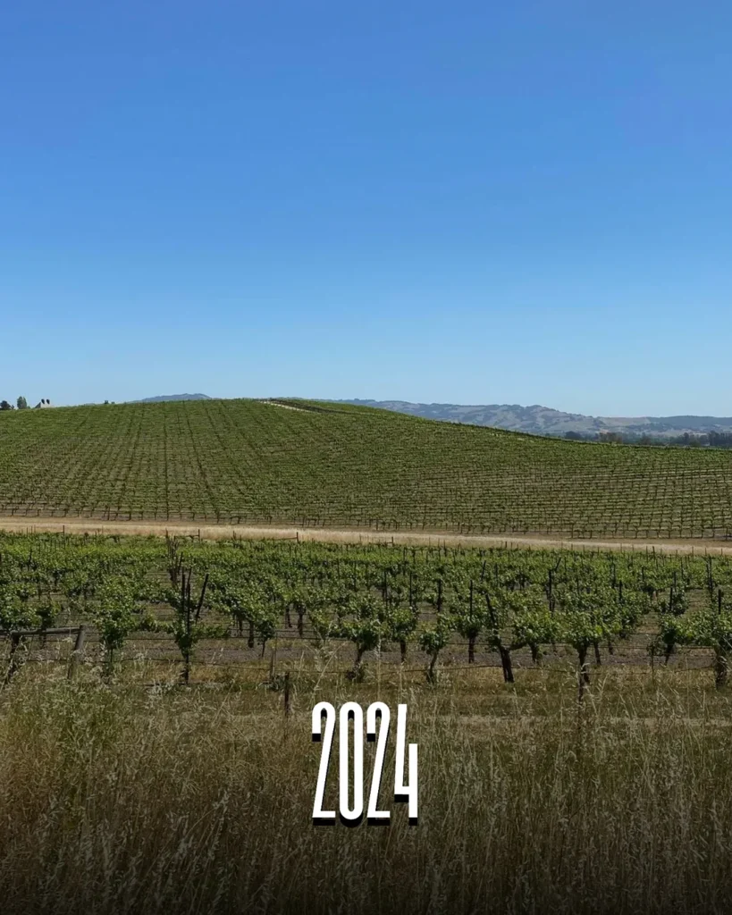 Əfsanəvi “Windows XP” divar kağızı